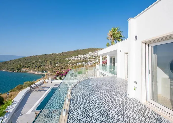 Front Super Vılla Boss 1