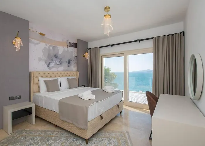 Front Super Vılla Boss 1 Villa