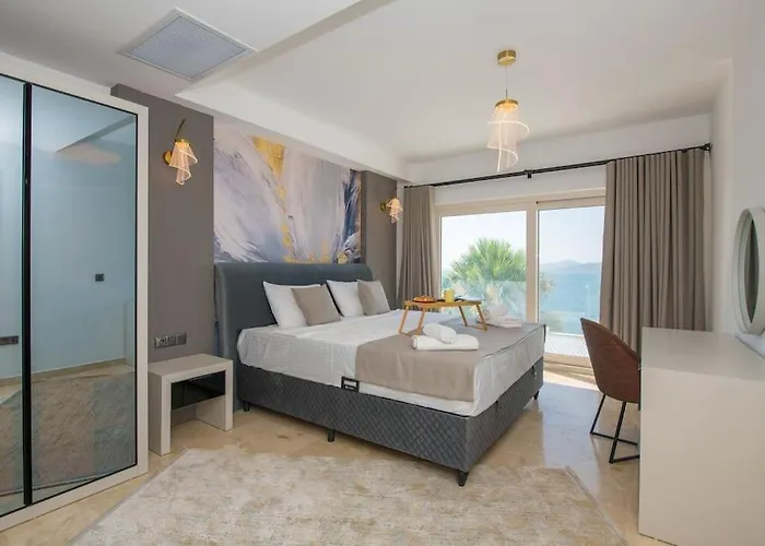 Front Super Vılla Boss 1 *