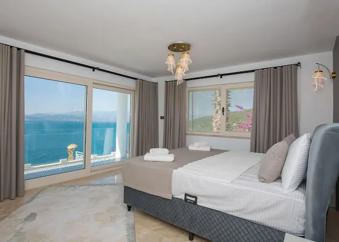 Front Super Vılla Boss 1 *