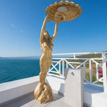 Villa Front Super Boss 1